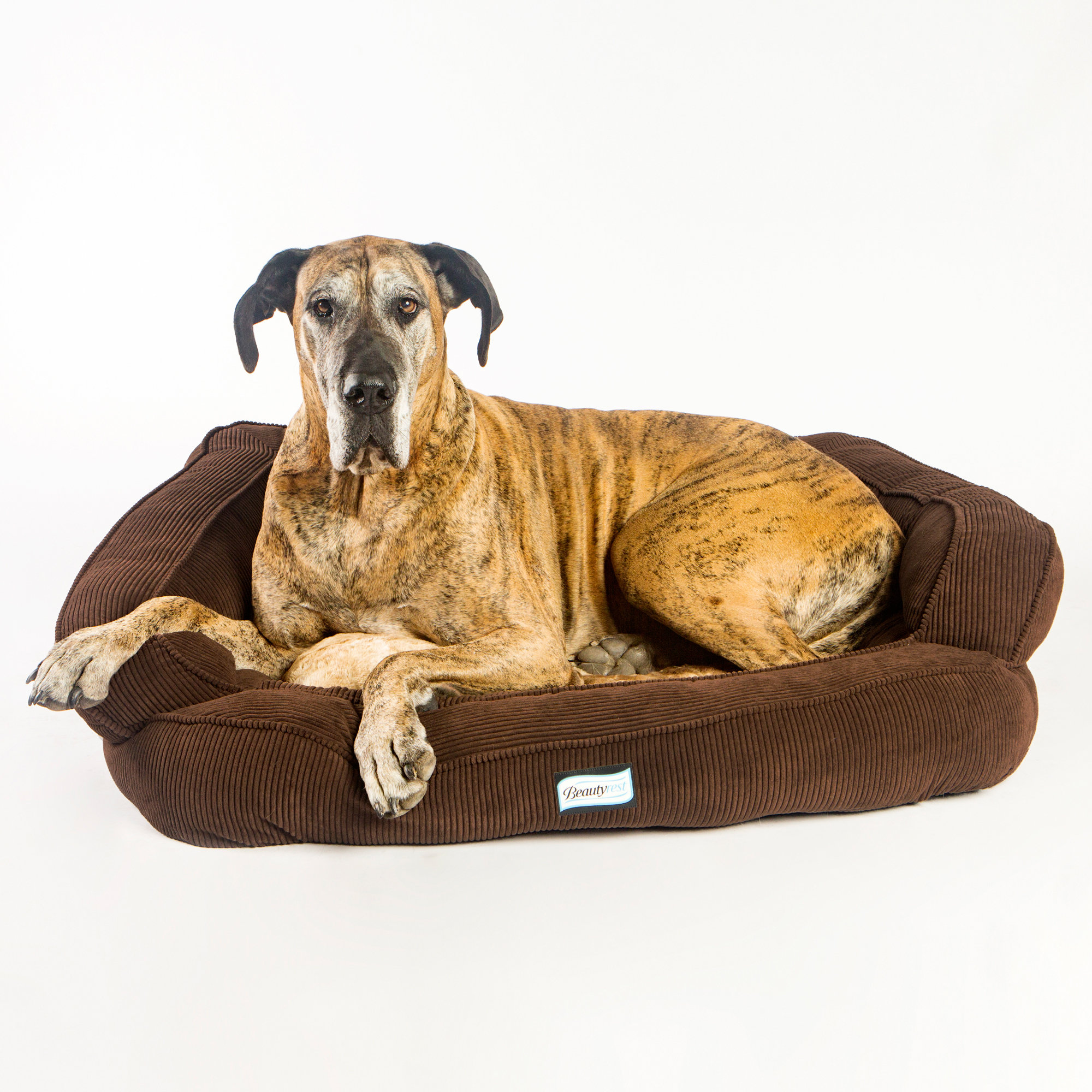 Extra Large Dog Beds Memory Foam REPLACEMENT Orthopedic Memory Foam